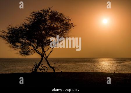 Der gelbe Sonnenuntergang in Praia, der Hauptstadt von Kap Verde, mit dem Atlantischen Ozean, einsamen Bäumen, einem Fahrrad und Palmarejo Strandküste auf der Insel Santiago. Stockfoto