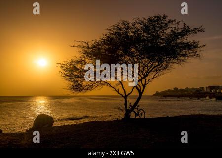 Der gelbe Sonnenuntergang in Praia, der Hauptstadt von Kap Verde, mit dem Atlantischen Ozean, einsamen Bäumen, einem Fahrrad und Palmarejo Strandküste auf der Insel Santiago. Stockfoto