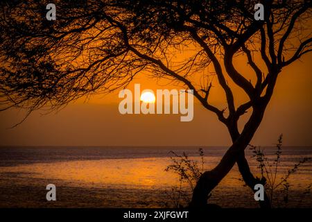 Der gelbe Sonnenuntergang in Praia, der Hauptstadt von Kap Verde, mit dem Atlantik, einsamen Bäumen und der Küste von Palmarejo auf Santiago Island. Stockfoto