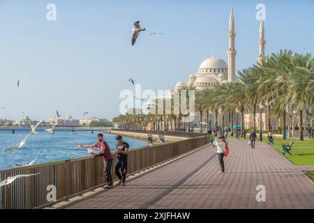 Die Touristen und die Einheimischen an der Sharjah Corniche (Uferpromenade) in den Vereinigten Arabischen Emiraten (VAE) mit Al Noor Moschee, Khalid See und Wasser am Persischen Golf Stockfoto