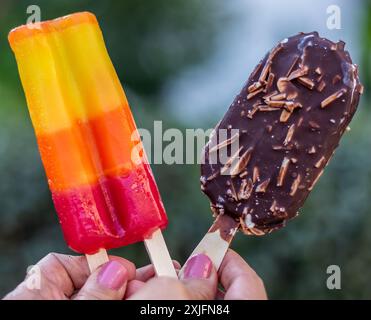 Zwei Stiele. Stockfoto