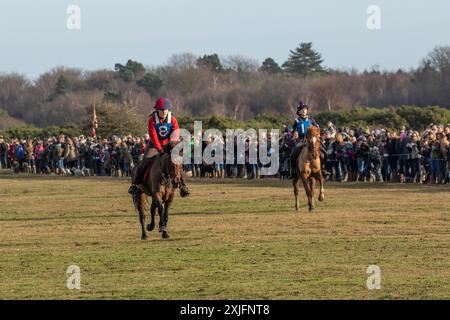 Jährlich stattfindendes Point-to-Point-Pferderennen am Boxtag in New Forest Stockfoto