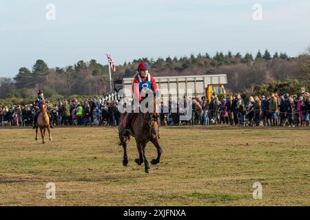 Jährlich stattfindendes Point-to-Point-Pferderennen am Boxtag in New Forest Stockfoto