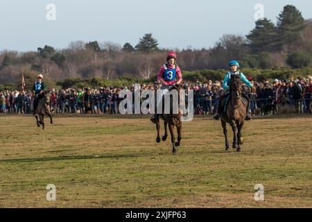 Jährlich stattfindendes Point-to-Point-Pferderennen am Boxtag in New Forest Stockfoto