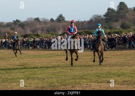 Jährlich stattfindendes Point-to-Point-Pferderennen am Boxtag in New Forest Stockfoto