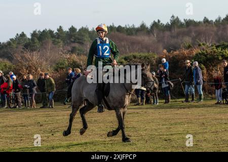 Jährlich stattfindendes Point-to-Point-Pferderennen am Boxtag in New Forest Stockfoto