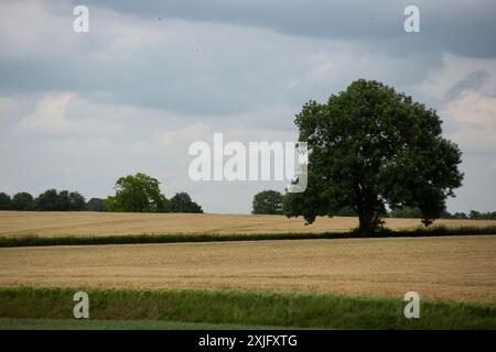 Am Drielandenpunt (Dreiländerpunkt oder Dreiländerpunkt), wo sich Belgien, Deutschland und die Niederlande treffen, können Sie drei Länder auf einmal besuchen Stockfoto
