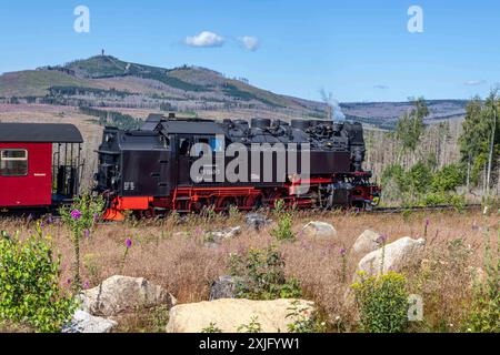 Harz, Deutschland 15. Juli 2024: Im Bild: Mit der Dampflok täglich auf den Brocken. Die Harzer Schmalspurbahn, HSB, fährt täglich Touristen auf den Broken im Harz. Hier die Dampflok 99 7240-7 auf dem Weg zum Brocken kurz vor Schierke im Hintergrund ist der Wurmberg zu sehen. Harz *** Harz, Deutschland 15 Juli 2024 auf dem Bild mit der Dampflokomotive täglich zum Brocken die Harzer Schmalspurbahn, HSB, jeden Tag bringt Touristen zum Brocken im Harz hier die Dampflokomotive 99 7240 7 auf dem Weg zum Brocken kurz vor Schierke im Hintergrund kann man die Wurmberg Harzkopie sehen Stockfoto