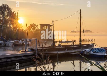 LK Diepholz, Deutschland 18. Juli 2024: Im Bild: Sonnenaufgang am Dümmer See im Landkreis Diepholz im Sommer 2024. Dümmer See Niedersachsen *** LK Diepholz, Deutschland 18 Juli 2024 im Bild Sonnenaufgang am Dümmer See im Landkreis Diepholz im Sommer 2024 Dümmer See Niedersachsen Copyright: XFotostandx/xReissx Stockfoto