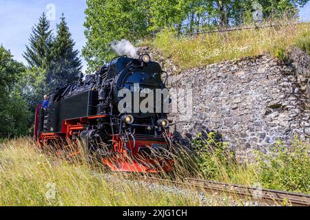 Harz, Deutschland 15. Juli 2024: Im Bild: Mit der Dampflok täglich auf den Brocken. Die Harzer Schmalspurbahn, HSB, fährt täglich Touristen auf den Broken im Harz. Die Dampflok 99 7243-1 auf dem Weg nach Sorge, sie umfährt das alte Brückenlager der Südharzeisenbahn. Harz *** Harz, Deutschland 15. Juli 2024 im Bild die Harzer Schmalspurbahn HSB bringt täglich Touristen auf den Brocken im Harz Dampflok 99 7243 1 auf ihrem Weg nach Sorge unter Umgehung des alten Brückenbetriebswerks der Harzsüdharzbahn Copyright: XFotostandx/xReissx Stockfoto