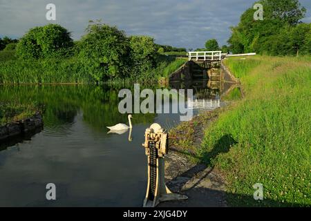 Schmales Boot auf Kennet & Avon Canal, Caen Hill Flight of Locks, Devizes, Wiltshire. Stockfoto