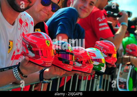 Budapest, Ungarn. Juli 2024. 18.07.2024, Hungaroring, Budapest, FORMEL 1 GROSSER PREIS VON UNGARN 2024, im Bild warten Fans auf die Fahrer Credit: dpa/Alamy Live News Stockfoto