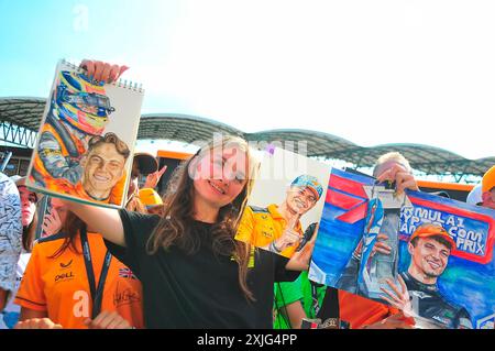 Budapest, Ungarn. Juli 2024. 18.07.2024, Hungaroring, Budapest, FORMEL 1 GROSSER PREIS VON UNGARN 2024, im Bild warten Fans auf die Fahrer Credit: dpa/Alamy Live News Stockfoto