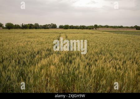 Das tägliche Leben in den Ecken Afghanistans Stockfoto