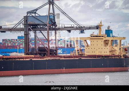 Massengutschiffe, Frachtschiffe für Massengüter wie Kohle, Erze, Sand, werden im Seehafen Rotterdam, Maasvlakte 2, Niederlande, entladen. Stockfoto