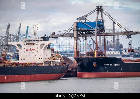 Massengutschiffe, Frachtschiffe für Massengüter wie Kohle, Erze, Sand, werden im Seehafen Rotterdam, Maasvlakte 2, Niederlande, entladen. Stockfoto