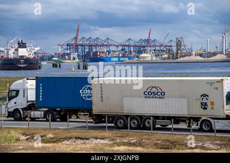 Der Seehafen Rotterdam, Niederlande, Tiefseehafen Maasvlakte 2, auf einem künstlichen Landgebiet vor der ursprünglichen Küste, Hutchison Ports ECT Euromax Term Stockfoto