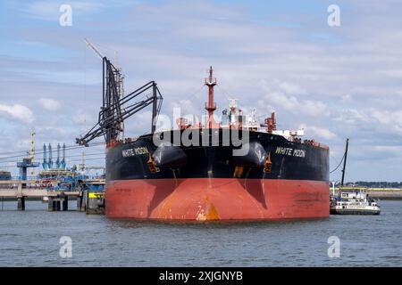 Großtanker White Moon wird für Rohöl entladen, in Petroleumhaven, Seehafen Rotterdam, Maasvlakte, Rotterdam Niederlande, Stockfoto