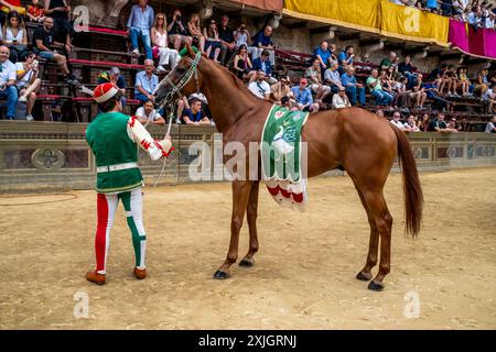 Ein Mitglied der Oca (Gänse) Contrada in mittelalterlichen Kostümen nimmt an Einer historischen Prozession Teil, Piazza del Campo, Palio, Siena, Italien. Stockfoto