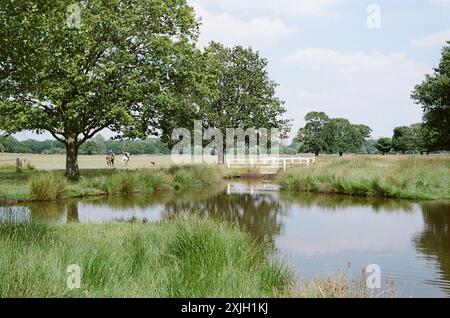 Teich- und Pferdereiten im Richmond Park, Greater London, Großbritannien, im Frühsommer Stockfoto