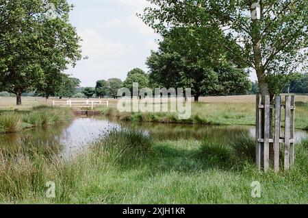 Teich und junge Bäume im Richmond Park, Greater London UK, im Sommer Stockfoto