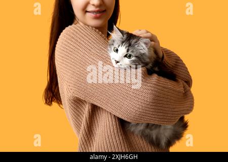 Junge Frau mit niedlicher langhaariger Katze auf orangem Hintergrund Stockfoto