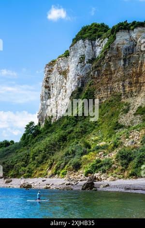 White Cliff, Jurassic Coast, Seaton, Devon, England Stockfoto