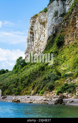 White Cliff, Jurassic Coast, Seaton, Devon, England Stockfoto