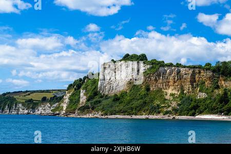 White Cliff, Jurassic Coast, Seaton, Devon, England Stockfoto