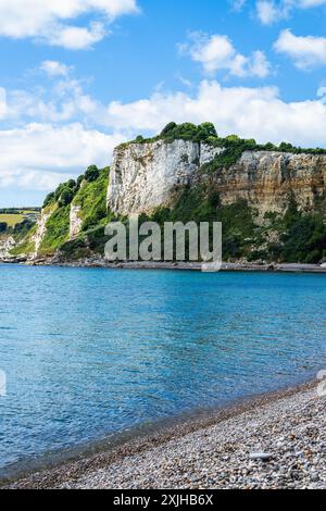 White Cliff, Jurassic Coast, Seaton, Devon, England Stockfoto