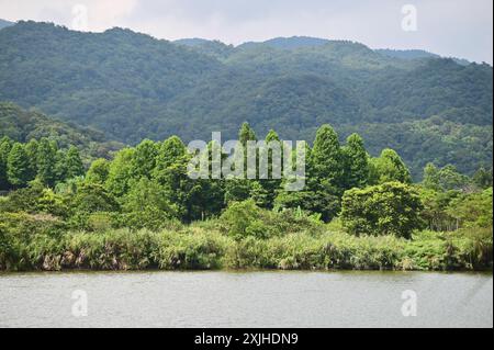Tauchen Sie ein in die Ruhe von Shuanglian Pi (雙連埤), Taiwan, wo sich die Wunder der Natur inmitten von grünen Hügeln und ruhigen Gewässern entfalten. Stockfoto