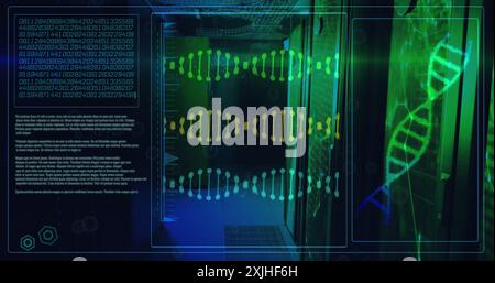 Bild der dna-Stränge und der Datenverarbeitung im Serverraum Stockfoto