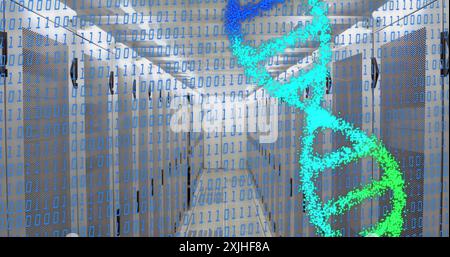 Bild der dna-Stränge und der Datenverarbeitung im Serverraum Stockfoto