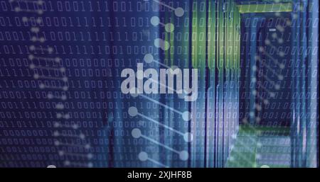 Bild der dna-Stränge und der Datenverarbeitung im Serverraum Stockfoto