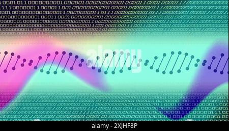 Bild des dna-Strangs über Datenverarbeitung auf farbenfrohem Hintergrund Stockfoto