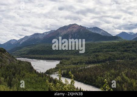 Grüne Bäume rund um den Matanuska River an einem bewölkten Sommertag im Matanuska-Susitna Valley in Alaska. Stockfoto