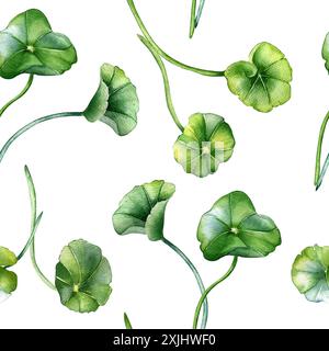 Centella asiatica Stiele und abgerundete Blätter auf nahtlosem Aquarellmuster. Geranium, Pennykraut Kräuterpflanzen handgezeichnet. Grünes Design auf Wiederholung Stockfoto