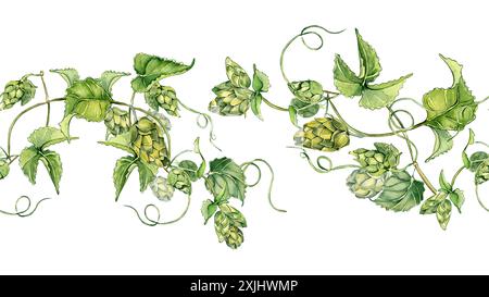 Hopfenzapfen auf Weinreben mit Blättern in Aquarell an nahtloser Grenze isoliert. Humuluspflanze im botanischen Stil. Wiederholter Zweig des Hopfens von Hand gezeichnet Stockfoto