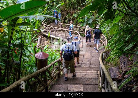 Puntarenas, Costa Rica - 23. März 2019: Touristen erkunden das üppige Monteverde Cloud Forest Reserve auf einer geführten Naturwanderung. Stockfoto