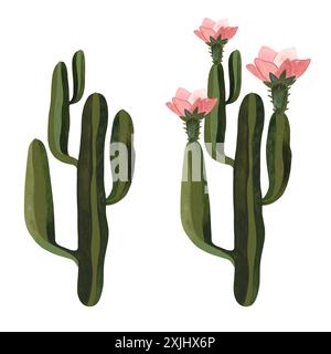 Kakteen. Pflanzen für das Zuhause. Blumenzucht. Wüstenflora. Isolierte Aquarellillustration auf weißem Hintergrund. Clipart. Stockfoto