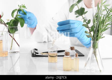 Aromatherapeutikum. Wissenschaftler, der ätherische Öle am weißen Tisch im Labor entwickelt, Nahaufnahme Stockfoto