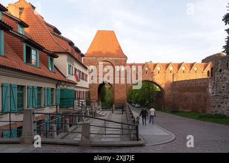 Gotischer Backsteingdanisko (Dansker) der ruinierten Burg des Deutschen Ordens in der Neustadt von Torun, die von der UNESCO zum Weltkulturerbe erklärt wurde, in Torun, Polen © Wojciech Strozyk Stockfoto