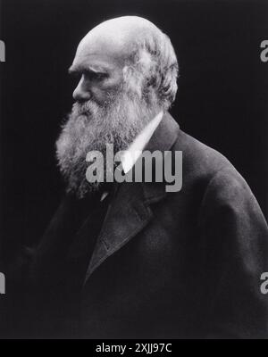Ein schwarz-weiß-Porträt von Charles Darwin, fotografiert von Julia Margaret Cameron im Jahr 1868. Das Foto zeigt Darwin im Profil, der nach links blickt, mit einem langen weißen Bart und einem Glatzkopf. Er trägt einen dunklen Mantel, und sein Ausdruck ist nachdenklich und intensiv. Stockfoto
