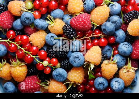 Bunte Mischbeeren aus nächster Nähe: Heidelbeeren, Himbeeren, Johannisbeere, schwarze Johannisbeere und Maulbeeren. Lebensmittelfotografie Stockfoto