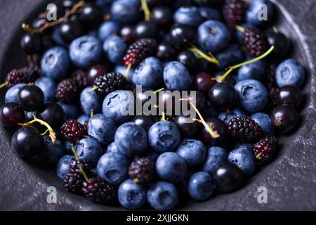 Frische Heidelbeeren, schwarze Johannisbeeren und Maulbeeren auf einem schwarzen Teller Nahaufnahme. Lebensmittelfotografie Stockfoto
