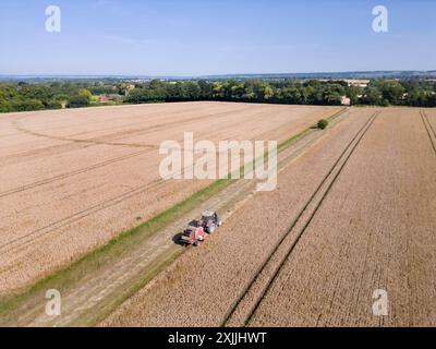 Weald aus Kent, Großbritannien. Juli 2024. Ein Traktor holt das Heu an den Rändern um reifende Gerstenfelder im Weald of Kent in der Nähe von Maidstone, an dem voraussichtlich heißesten Tag des Jahres. Quelle: Phil Robinson/Alamy Live News Stockfoto