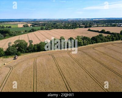 Weald aus Kent, Großbritannien. Juli 2024. Ein Traktor holt das Heu an den Rändern um reifende Gerstenfelder im Weald of Kent in der Nähe von Maidstone, an dem voraussichtlich heißesten Tag des Jahres. Quelle: Phil Robinson/Alamy Live News Stockfoto