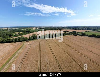 Weald aus Kent, Großbritannien. Juli 2024. Reifende Gerstenfelder im Weald of Kent, nahe Maidstone, an dem bisher heißesten Tag des Jahres. Quelle: Phil Robinson/Alamy Live News Stockfoto