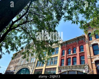 Reihe historischer Gebäude hinter Baumzweigen in Troy, NY Stockfoto