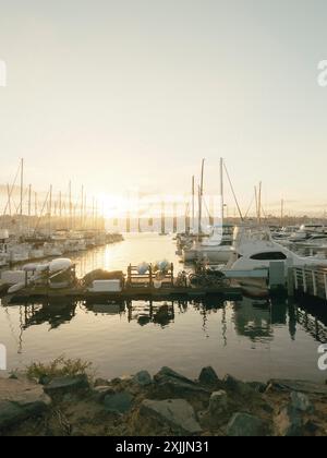 Sonnenuntergang über einem Yachthafen in San Diego, mit Booten und Yachten Stockfoto